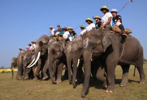 Elephant polo is a kind of polo contested using elephants, practiced in Nepal, Rajasthan, the Island nation of Sri Lanka, and Thailand,